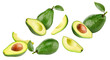 Flying Avocado isolated on white background. Levitation Avocado clipping path. Avocado with leaves