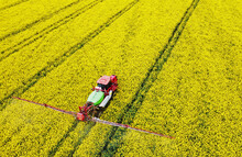 Aerial View Of Rapeseed Yellow Fields And Tractor Agro Combine. Agricultural Machinery. Cultivation And Harvesting