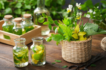 Wall Mural - Bottles of essential oil, tincture or infusion of medicinal herbs and basket of medicinal healing plants. Alternative herbal medicine.