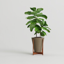 3d Illustration Of Houseplant In Modern Potted Isolated On White Background