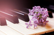 Beautiful lilac on piano keys so close