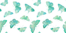 Set Of Green Butterflies Collected In A Seamless Pattern Isolated On A White Background.