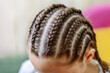 Girl with many small braids. Texture of plaits. Close-up, selective focus