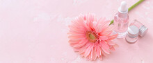 Bottles Of Essential Oil And Gerbera Flower On Pink Background With Space For Text
