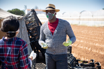 Wall Mural - Farmer in protective mask gives assignment to hired worker on farm field