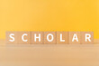 © ELUTAS - 学者・学生のイメージ｜「SCHOLAR」と書かれた積み木