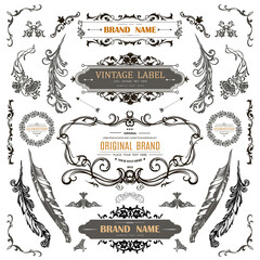 Wall Mural - set of vintage decorations flourishes elements.
