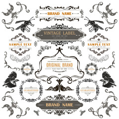 Wall Mural - set of vintage decorations flourishes elements.