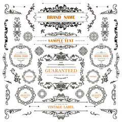 Wall Mural - set of vintage decorations flourishes elements.
