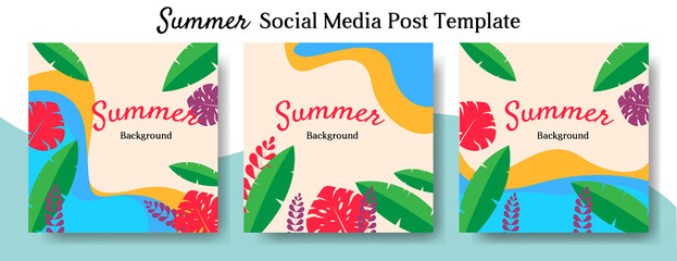 summer background social media post template design