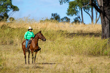 Country Lady And Horse Riding In Paddock.