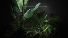 White Neon Light With Tropical Plants. Square Shaped Fluorescent Frame In Nature Environment.