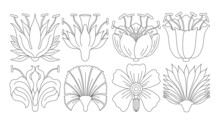 Art Nouveau Style Flower Plant Basic Element. 1920-1930 Years Vintage Design. Symbol Motif Design.