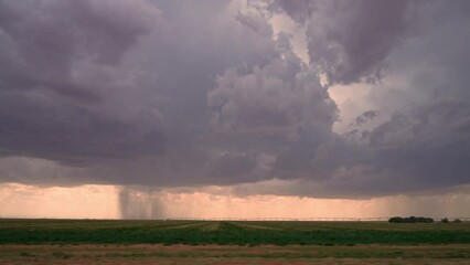 Wall Mural - View from vehicle driving down road looking at rainstorm in the distance while storm chasing in Texas.