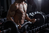 Handsome power athletic bodybuilder training pumping up muscles in gym