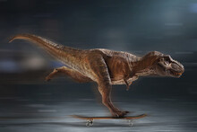 Dinosaur 3d Rendering, Tyrannosaurus Rex Riding Skateboard