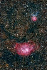 Wall Mural - the lagoon and triffid nebulae (m8) - (m20) in the constellation of sagittarius