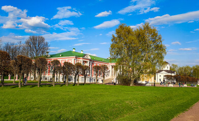 Wall Mural - park in the city