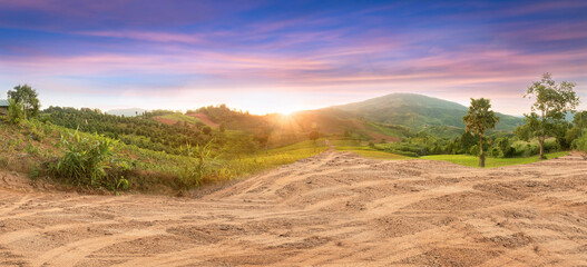 empty dry cracked swamp reclamation soil, land plot for housing construction project with car tire p