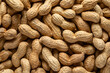© ADDICTIVE STOCK - Shelled peanuts