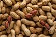 © ADDICTIVE STOCK - Shelled peanuts