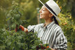 Woman in a hat gardening in her backyard