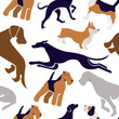 dogs seamless pattern. Vector illustration of various dog breeds such as corgi doberman beagle. Isolated on white
