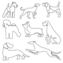 Dogs Set Collection Line Art. Vector Illustration Of Various Dog Breeds Such As Corgi Doberman Beagle. Isolated On White