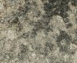 Natural textured stone close up. An old large mossy rock texture. Organic abstract background in beige color palette.