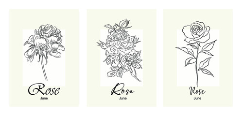 Wall Mural - Set of decorative fresh blossoming rose line drawing with leaves isolated on white background. June birth flower trendy minimalist wall art. Hand drawn ink sketch. Monochrome Vector illustration.