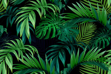 Seamless Hand Drawn Tropical Vector Pattern With Monstera Palm Leaves On Dark Background.