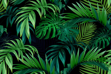 Wall Mural - Seamless hand drawn tropical vector pattern with monstera palm leaves on dark background.