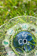 carbon neutral bussiness concept