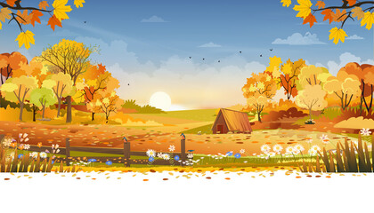 Poster - Autumn rural landscape farm fields and forest trees with orange sky sunset,Vector cartoon banner backdrop farm field harvest,Scenery of natural countryside with sunrise for fall season background