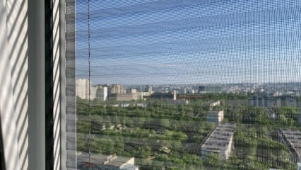 Close-up of mosquito net in sunny day of summer.