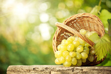 Grapes In A Basket