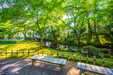 石川県金沢市　新緑の兼六園