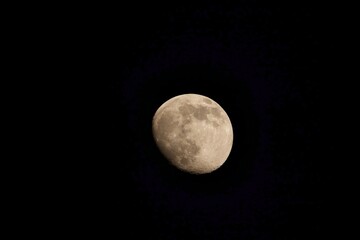 moon in the night