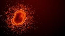 Monkeypox Virus. Pathogenic Disease Concept With Copy-Space.