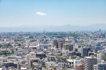 Wall Mural - 練馬区役所から見た石神井公園、田無、秩父方面の風景