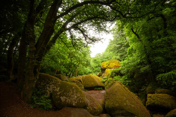 La foret et  le chaos de Huelgoat en Bretagne