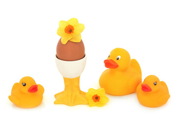 Boiled egg in novelty egg cup for healthy breakfast composition with yellow plastic toy ducks and spring narcissus flowers. Whimsical design element for Easter Spring health food concept on white.