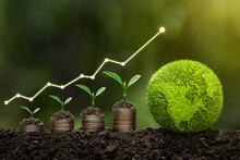  Light Bulb Is Located On Soil. Plants Grow On Stacked Coins Renewable Energy Generation Is Essential For The Future. Renewable Energy-based Green Business Can Limit Climate Change And Global Warming.