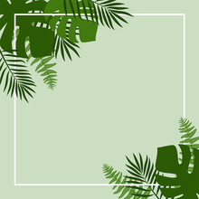 Green Summer Tropical Background With Exotic Palm Leaves And Plants. Vector Floral Background.