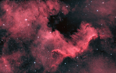 Wall Mural - North america nebula