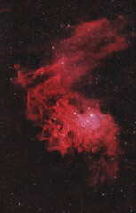 Wall Mural - Flaming star nebula