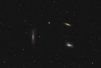 Wall Mural - Leo triplet