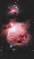 Wall Mural - Orion nebula