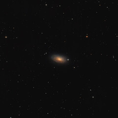 Wall Mural - Sunflower galaxy
