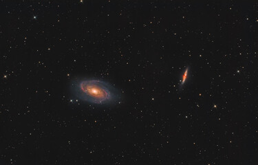 Wall Mural - Bode's galaxy and cigar galaxy